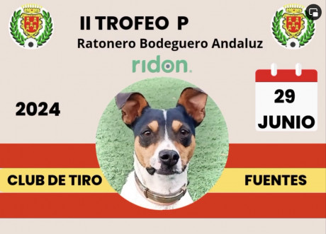 8 de Julio 160