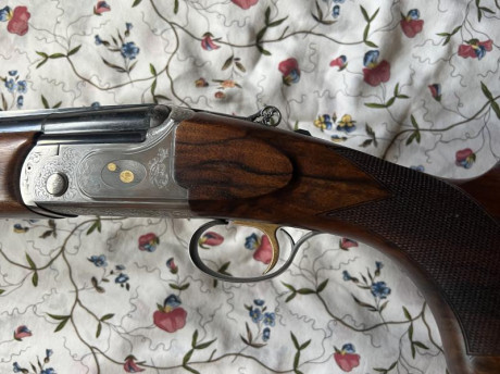 Vendo escopeta BETTINSOLI TRAP SV TALENTO, calibre 12/76, cañón de 76 cm, chokes intercambiables y prolongadores 12
