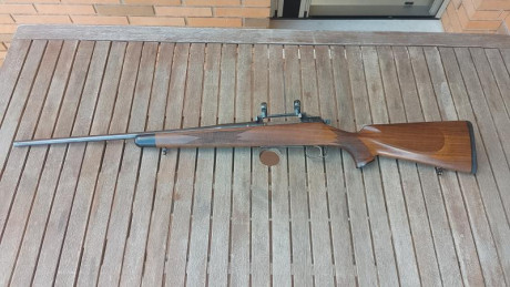 Vendido. 01