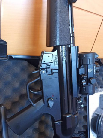 Carabina 22LR GSG-5 (MP5)
2 cargadores+sujetador de cargadores
1 cargador 110 cartuchos
1 bípode
1 Agarradera 00