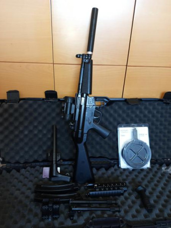 Carabina 22LR GSG-5 (MP5)
2 cargadores+sujetador de cargadores
1 cargador 110 cartuchos
1 bípode
1 Agarradera 10
