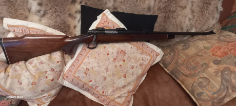 VENDIDO .Vendo rifle remington BDL calibre 308 w. El rifle lleva . El cargador es metálico ,alza regulable 21