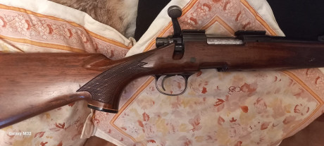 VENDIDO .Vendo rifle remington BDL calibre 308 w. El rifle lleva . El cargador es metálico ,alza regulable 20