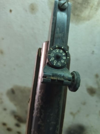 Buenas después de mi convalecencia, he encontrado otras cositas como está GAMO 300, está funcional, y 20