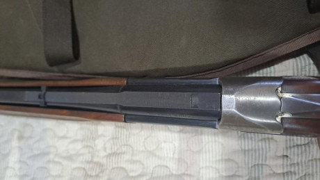 Buenas Tardes, sabeis donde puedo conseguir una base de Carril para un Rifle Express Tikka 412S? Si sabeis 00
