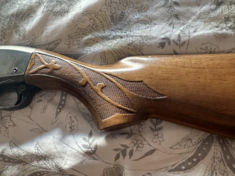 Calibre 12. 2 estrellas fijas. Impecable . Madera de nogal .
Pido 500eu.
Mi teléfono 691350535( HABLARME 00