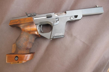 Buenas

Busco Walther Modelo GSP (no la Expert) en calibre .22 L.R.; también podría ser con los dos carros 01
