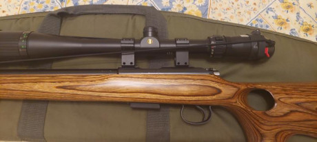 Venta CZ455 thumhole 17hmr + Visor BUSHNELL ELITE 4200 6-24x40 Retícula Mil-Dot

Solo 1 vez utilizado 00