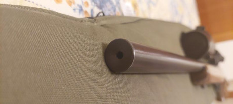 Venta CZ455 thumhole 17hmr + Visor BUSHNELL ELITE 4200 6-24x40 Retícula Mil-Dot

Solo 1 vez utilizado 11