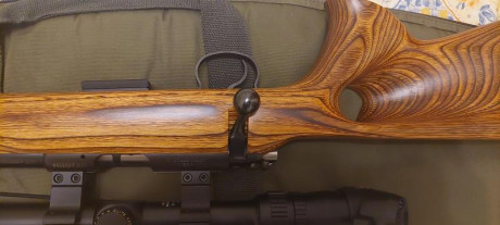 Venta CZ455 thumhole 17hmr + Visor BUSHNELL ELITE 4200 6-24x40 Retícula Mil-Dot

Solo 1 vez utilizado 20