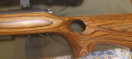 Venta CZ455 thumhole 17hmr + Visor BUSHNELL ELITE 4200 6-24x40 Retícula Mil-Dot

Solo 1 vez utilizado 30