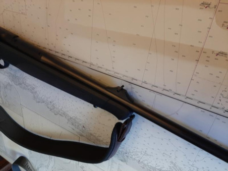 Cambio cañon blaser r8 270w,por cañon de mas calibre30-06,8×68,300,338 
Nico 696927927 00