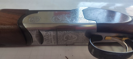 Se vende 00