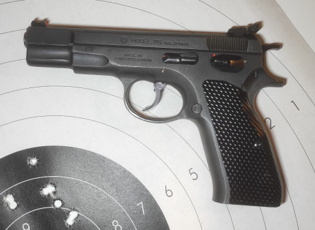 Buenos días,
Pongo a la venta mi CZ75. Es una pre-B, de las que tienen el guardamonte redondo, de las 00