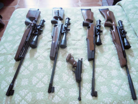 Buenas tardes,

Podriais recomendarme alguna carabina de piston para comenzar a pliquear un poco.

Que 71