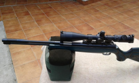 Buenas tardes,

Podriais recomendarme alguna carabina de piston para comenzar a pliquear un poco.

Que 70