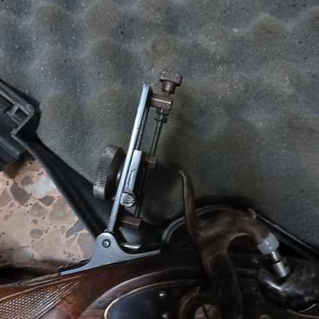 Buenos días vendo rifle marca AMR de competición serie especial Eduardo schiling calibre 45 diopter y 01