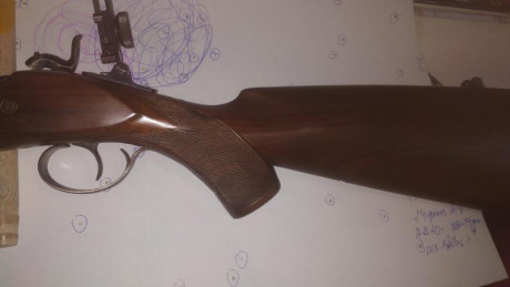Buenos días vendo rifle marca AMR de competición serie especial Eduardo schiling calibre 45 diopter y 40