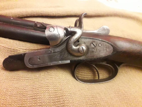 Escopeta paralela del calibre 20 de perrillos marca "La Paloma" de Juan José Sarrasqueta. 68cm 02