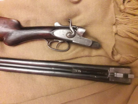 Escopeta paralela del calibre 20 de perrillos marca "La Paloma" de Juan José Sarrasqueta. 68cm 00