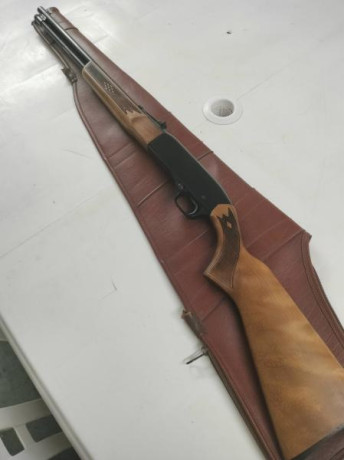 Para dejar de acumular polvo en el armero me vendo esta carabina semiautomática.

200 €

Está en Barcelona. 00