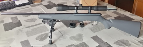 Carabina Savage 310 del calibre 17hmr.

Es la misma carabina que la actual 93R17, solo cambia el disparador. 00