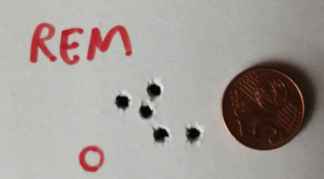 Carabina Savage 310 del calibre 17hmr.

Es la misma carabina que la actual 93R17, solo cambia el disparador. 22