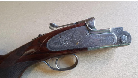 Un compañero vende una aya excelsior de luxe, limitada y numerada. De trap 2 y 1 estrella culata montecarlo 01