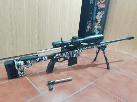 Rifle Savage AX2 precision, en calibre .308
Ha tirado 9 cajas, es muy, muy preciso.
Lleva un visor Vortex 02