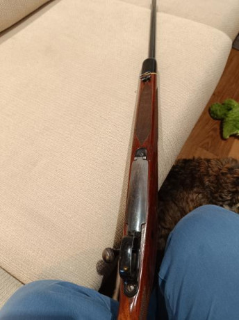 REBAJADO! Se vende winchister 70, calibre 7mmrm. Se vende por exceso de armas que tengo en casa mias y 01
