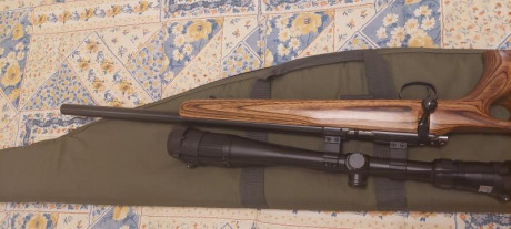 Venta CZ455 thumhole 17hmr + Visor BUSHNELL ELITE 4200 6-24x40 Retícula Mil-Dot

Solo 1 vez utilizado 172