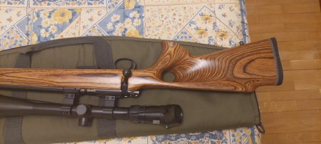 Venta CZ455 thumhole 17hmr + Visor BUSHNELL ELITE 4200 6-24x40 Retícula Mil-Dot

Solo 1 vez utilizado 171