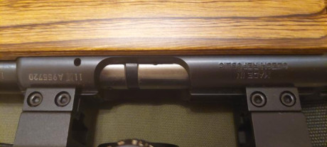 Venta CZ455 thumhole 17hmr + Visor BUSHNELL ELITE 4200 6-24x40 Retícula Mil-Dot

Solo 1 vez utilizado 170