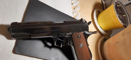 Buenos dias , busco una pistola del 9mm largo maximo del año 1925 , la cambiaria por una llama cal. .38 01