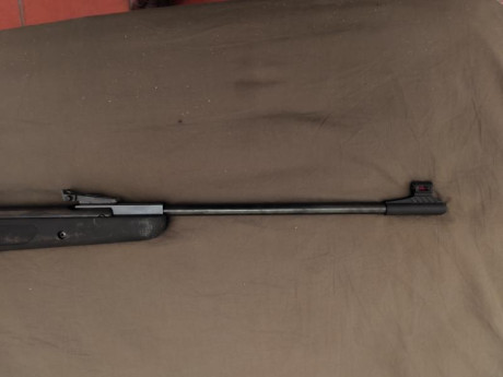  Vende  DIANA 350 Magnum Panther, una carabina desarrollada con cuerpo de fibra anti-impactos con 24 Julios 12