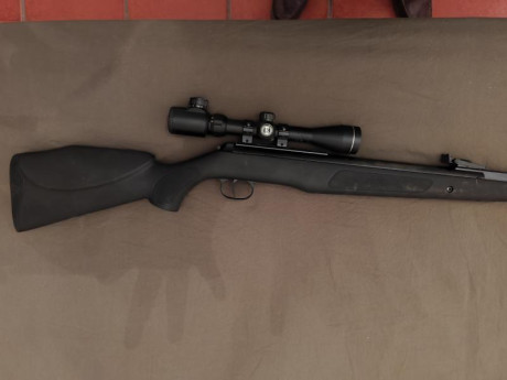  Vende  DIANA 350 Magnum Panther, una carabina desarrollada con cuerpo de fibra anti-impactos con 24 Julios 11