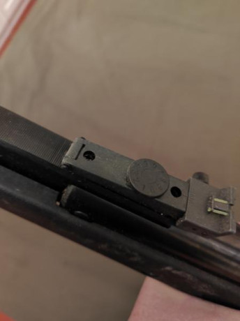  Vende  DIANA 350 Magnum Panther, una carabina desarrollada con cuerpo de fibra anti-impactos con 24 Julios 10