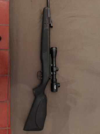  Vende  DIANA 350 Magnum Panther, una carabina desarrollada con cuerpo de fibra anti-impactos con 24 Julios 21