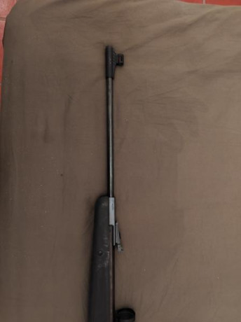  Vende  DIANA 350 Magnum Panther, una carabina desarrollada con cuerpo de fibra anti-impactos con 24 Julios 20