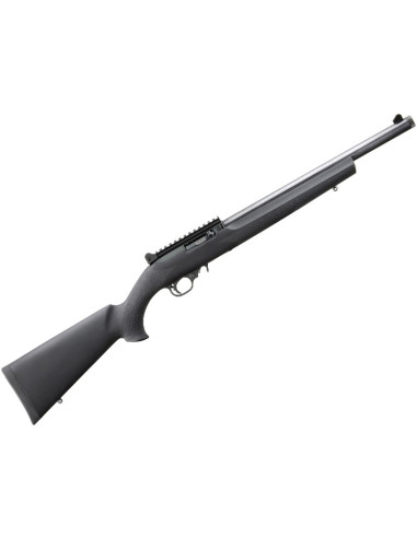    ***COMPRADA***     

Busco carabina Ruger 10/22, cal. 22LR, en buen estado y a precio razonable.

Un 11