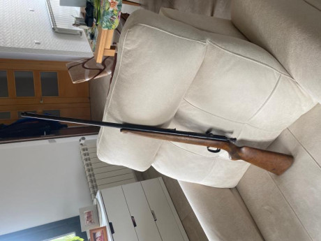 Carabina .22LR Onena monotiro.

Funciona perfectamente. 

Tiene sus años y se nota, aunque agrupa bastante 00