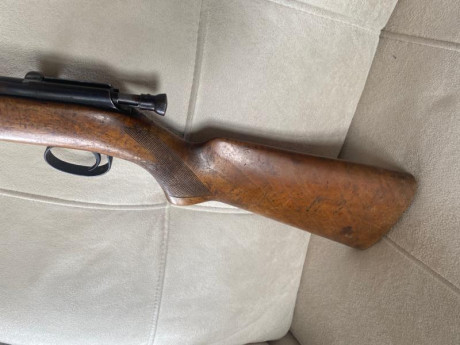 Carabina .22LR Onena monotiro.

Funciona perfectamente. 

Tiene sus años y se nota, aunque agrupa bastante 21