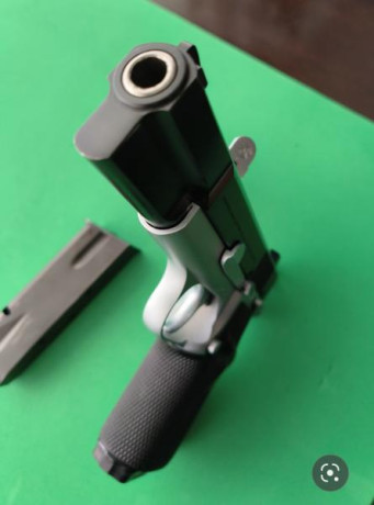 Se vende o cambia por pistola para IPSC o minirifle (ajustando posible diferencia en precio).
Magnífica 00