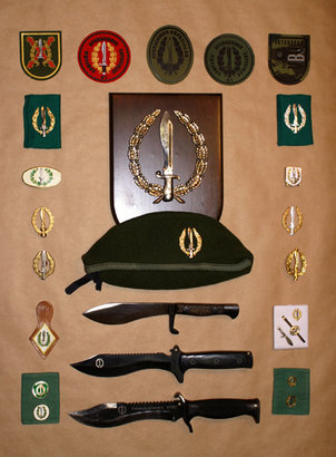 Busco antiguos integrantes del  GOE1  Ordenes militares, Especialmente a los chicos de la  13  70