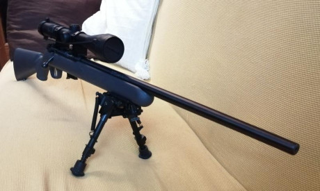 Carabina Savage 310 del calibre 17hmr.

Es la misma carabina que la actual 93R17, solo cambia el disparador. 100