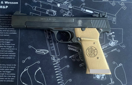 Hola amigos, por si a alguno le interesa voy a poner a la venta varias cachas de la pistola S&W modelo 40