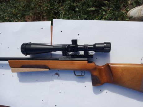 Vendo por cese de actividad (jubilación) carabina Izhmash, modelo CM2, calibre 22LR, versión para zurdo, 22