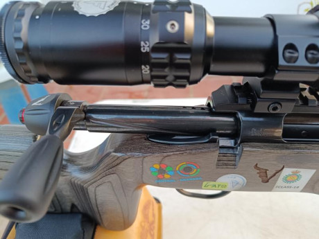   VENDIDO...SE PUEDE BORRAR  Victrix Absolute V, magnifico rifle con una precisión inmejorable, Campeón 40