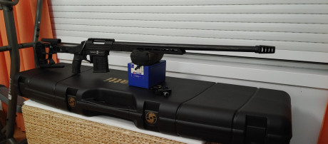 Hola a todos.
Vendo este rifle con 500 tiros. Dispone de arca rail integrado, carril de 20 moa, rosca 00