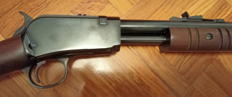 Vendo carabina de corredera Taurus 62 de 22LR
Único dueño. Estado impecable, como nueva. Apenas ha disparado 02